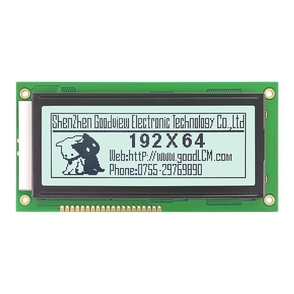 monochromes grafisches LCD-Display