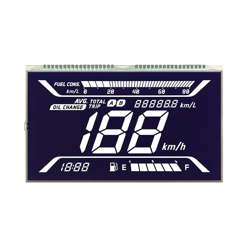 LCD Multi-Segment Display